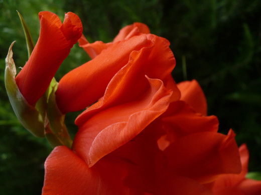 1058804 (a): :2560x1920
